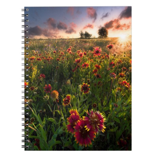 Carnet Fleurs | Fleur sauvage indien Texas (Devant)