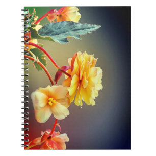 Carnet Fleurs, Fleurs Jaunes, Pétales-63158