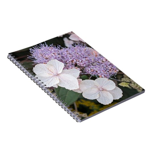 Carnet Fleurs florales d'Hydrangea Aspera blanche (Côté Droit)