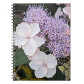 Carnet Fleurs florales d'Hydrangea Aspera blanche (Devant)