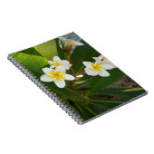 Carnet Fleurs Frangipani parfumées (Côté Droit)