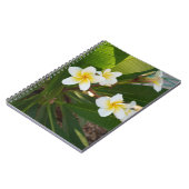 Carnet Fleurs Frangipani parfumées (Côté gauche)