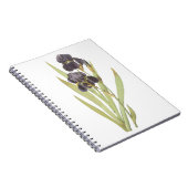 Carnet Fleurs Iris Violettes (Côté Droit)