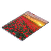 Carnet Fleurs | Jardin botanique Hollande (Côté gauche)