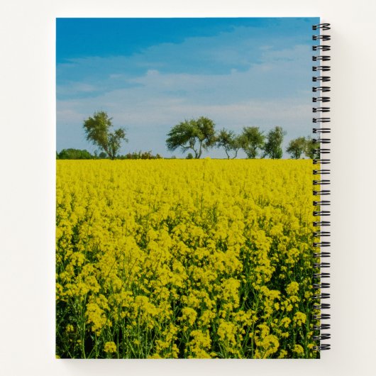 Carnet Fleurs jaunes (Dos)