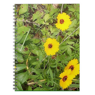 Carnet Fleurs jaunes