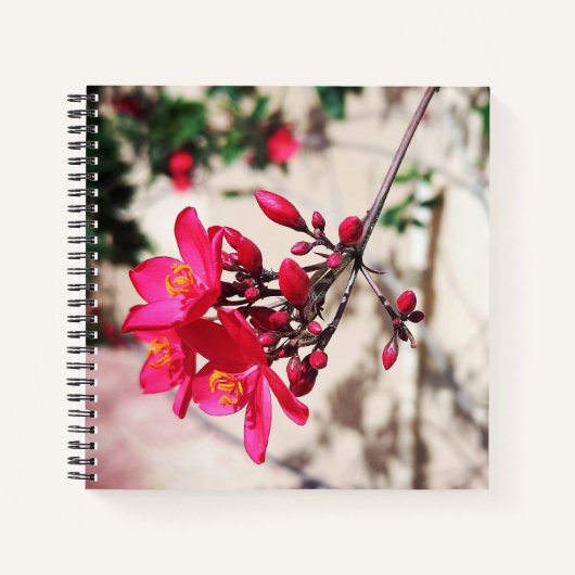 Carnet Fleurs Magenta (Devant)