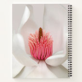 Carnet Fleurs | Magnolia blanche (Dos)