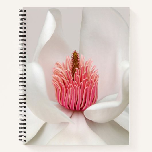 Carnet Fleurs | Magnolia blanche (Devant)