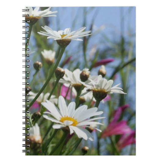 Carnet Fleurs marguerites (Devant)