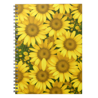 Carnet Fleurs marguerites jaunes