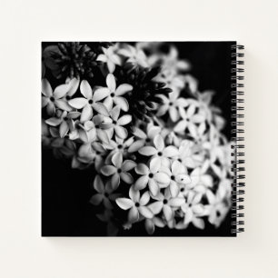 Carnet Fleurs noires et blanches