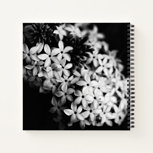 Carnet Fleurs noires et blanches (Dos)