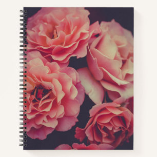 Carnet Fleurs oeillets roses