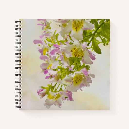 Carnet Fleurs papillons (Devant)