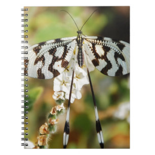 Carnet Fleurs Papillons Floraison Mariage Bain de Rêves P