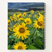 Carnet Fleurs | Rivière Balsomroot Columbia, Oregon (Dos)