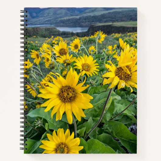 Carnet Fleurs | Rivière Balsomroot Columbia, Oregon (Devant)