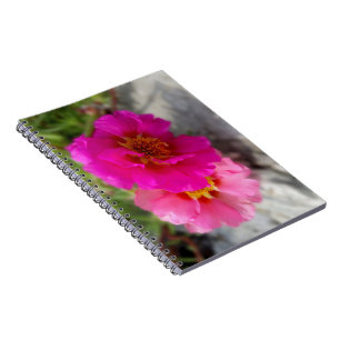Carnet Fleurs roses au soleil