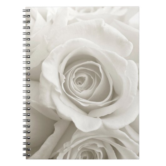 Carnet Fleurs | Roses blanches (Devant)