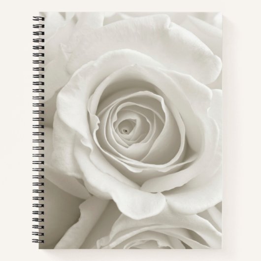 Carnet Fleurs | Roses blanches (Devant)