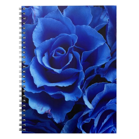 Carnet Fleurs roses bleues romance plante (Devant)