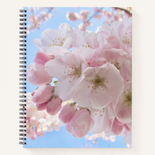 Carnet Fleurs roses Ciel Bleu.