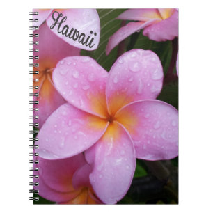 Carnet Fleurs roses de Plumeria d'Hawaï