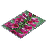 Carnet Fleurs roses de renard (Côté gauche)