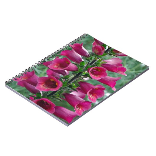 Carnet Fleurs roses de renard (Côté gauche)