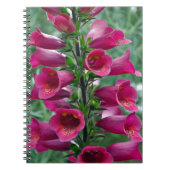 Carnet Fleurs roses de renard (Devant)