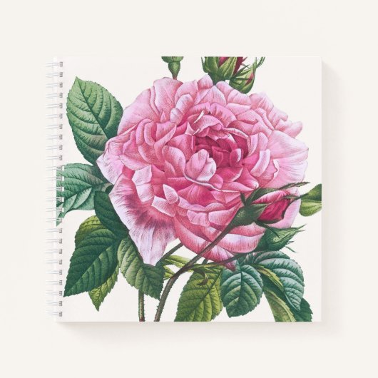 Carnet Fleurs roses roses avec Feuilles verts (Devant)
