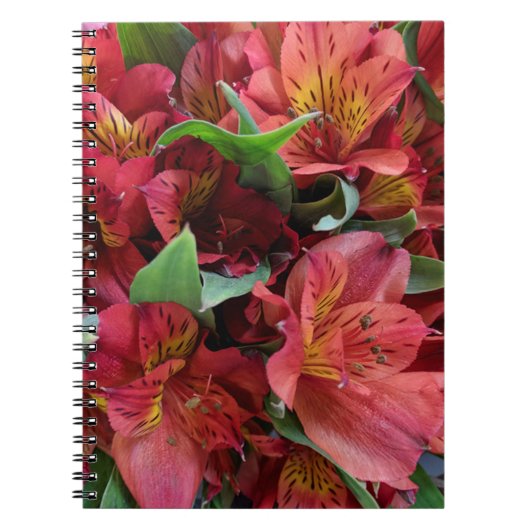 Carnet Fleurs rouges (Devant)