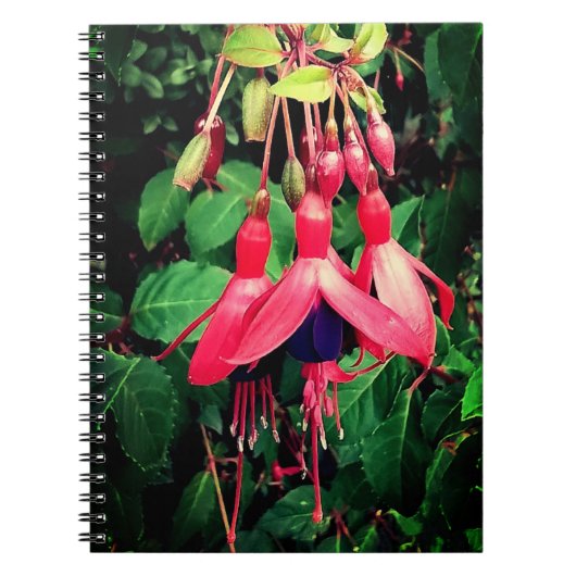Carnet Fleurs rouges et violettes (Devant)