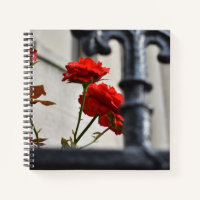 Fleurs rouges Fer forgé Photographie de New York