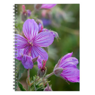 Carnet Fleurs sauvages de géranium collant