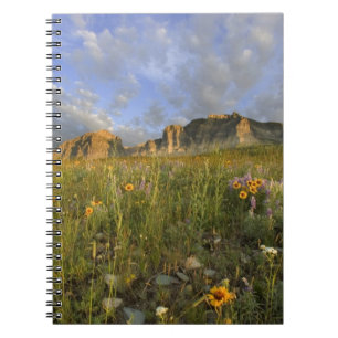 Carnet Fleurs sauvages de la prairie dans la vallée de Ma