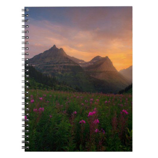 Carnet Fleurs sauvages glaciers (Devant)