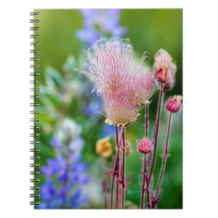 Carnet Fleurs sauvages Prairie Smoke dans le bosquet d'as