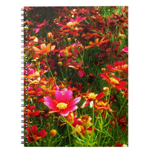 Carnet Fleurs sauvages rose et jaune pâle (Devant)