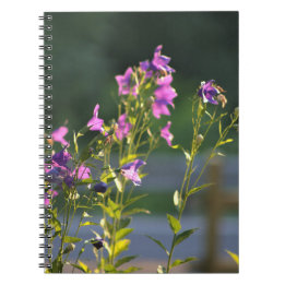 Carnet Fleurs sauvages violets