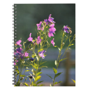Carnet Fleurs sauvages violets