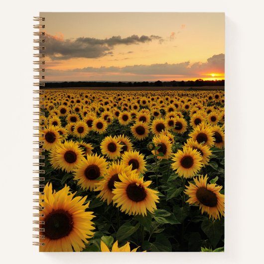 Carnet Fleurs | Terrain de tournesol (Devant)