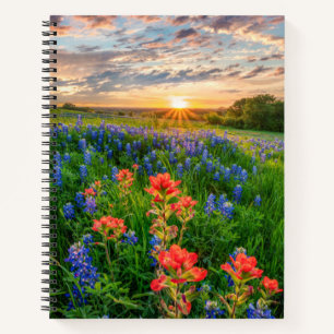 Carnet Fleurs   Texas Bluebonnets & Indian Paintbrush