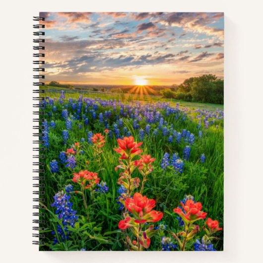 Carnet Fleurs | Texas Bluebonnets & Indian Paintbrush (Devant)