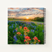 Carnet Fleurs | Texas Bluebonnets & Indian Paintbrush (Dos)