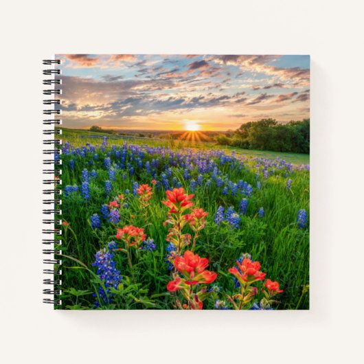 Carnet Fleurs | Texas Bluebonnets & Indian Paintbrush (Devant)