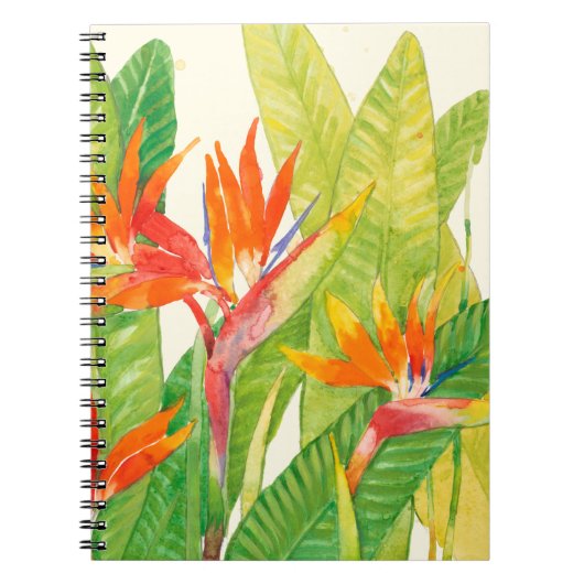 Carnet Fleurs tropicales | Oiseau du paradis (Devant)