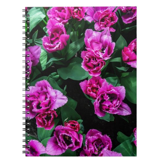 Carnet Fleurs tulipes roses (Devant)