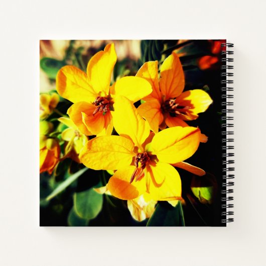 Carnet Fleurs vives (Dos)
